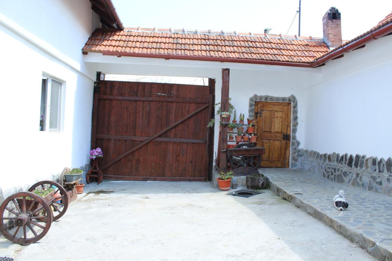 Casa Veverita 프레델루츠 외부 사진